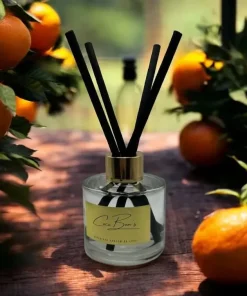 Diffuseur de parfum de Grasse – Clémentine – 100ml